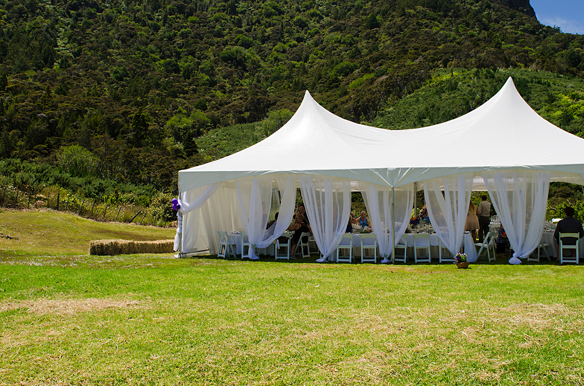 backyard wedding reception Northland NZ